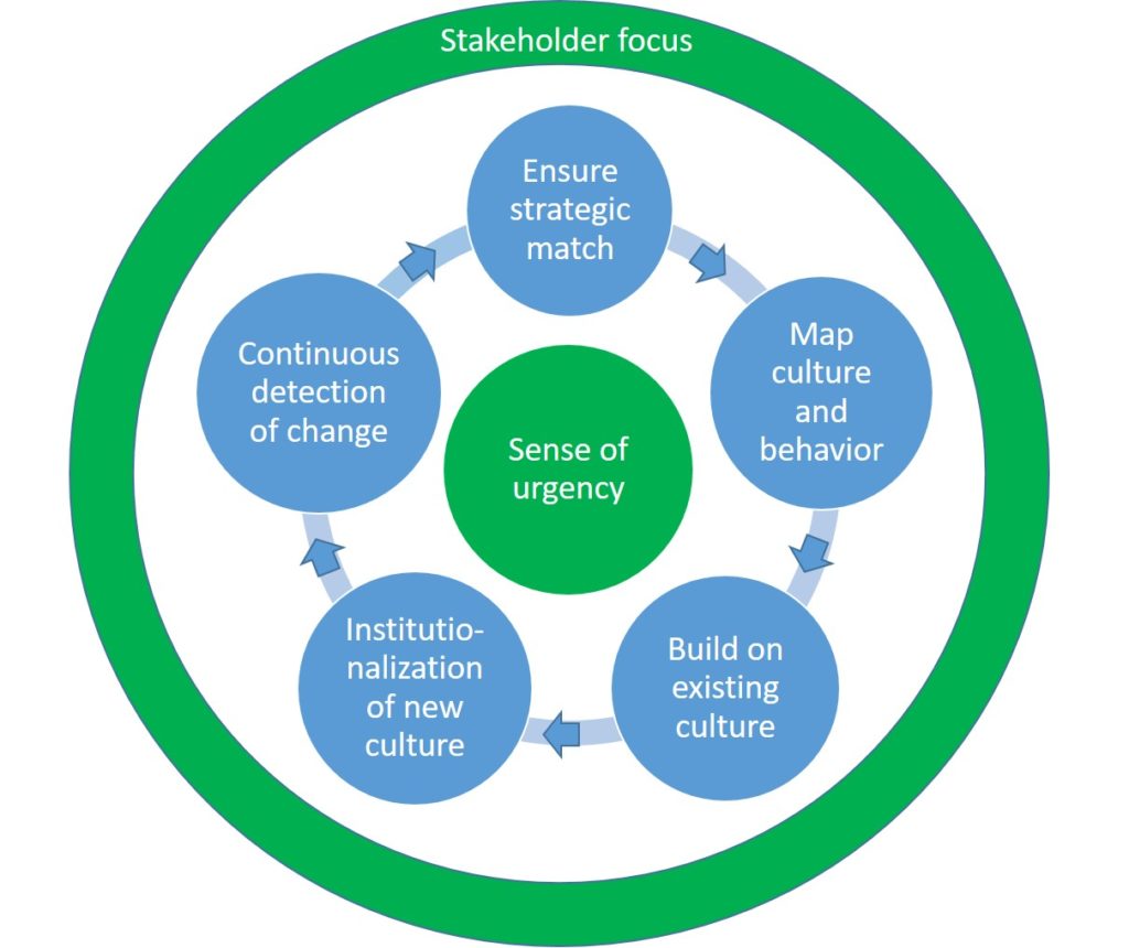 Cultural change model ver 05 1024x860 OCAI